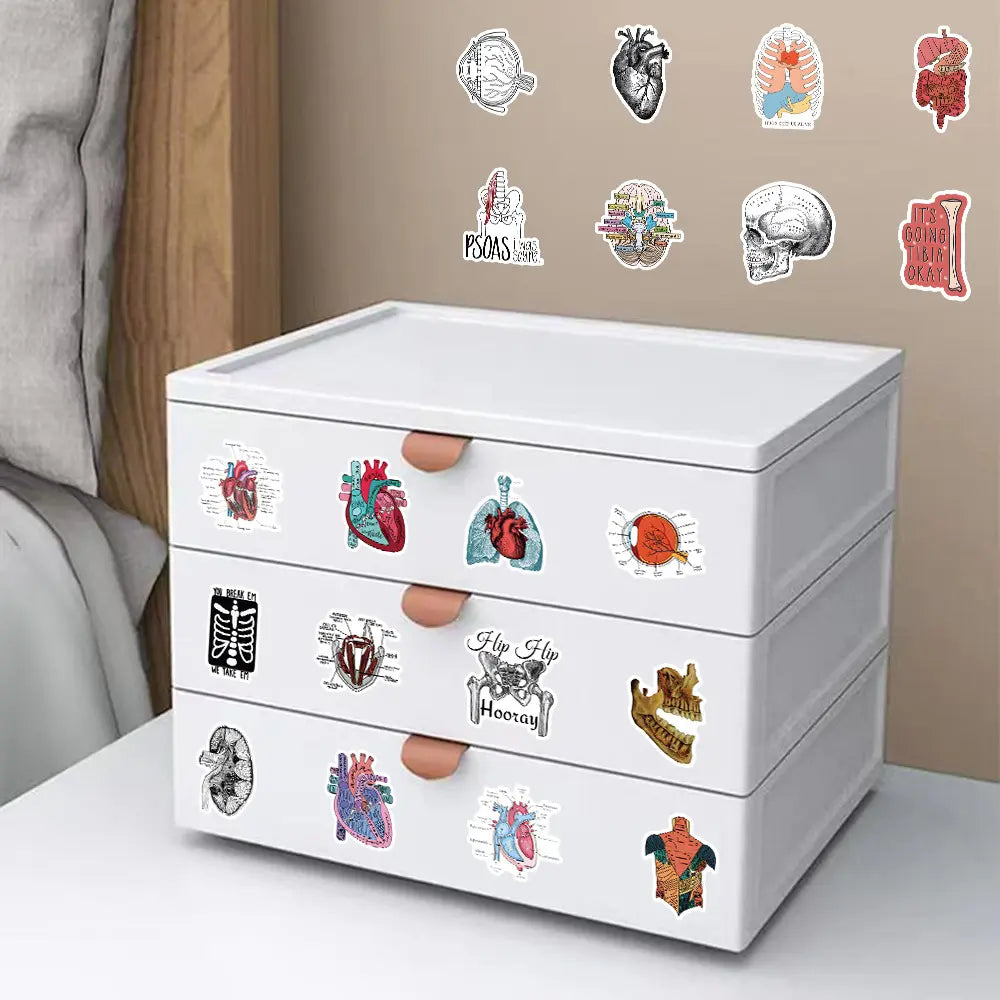 50 Anatomy Stickers