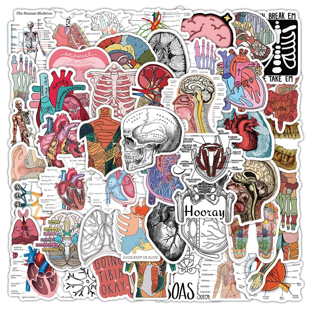 50 Anatomy Stickers