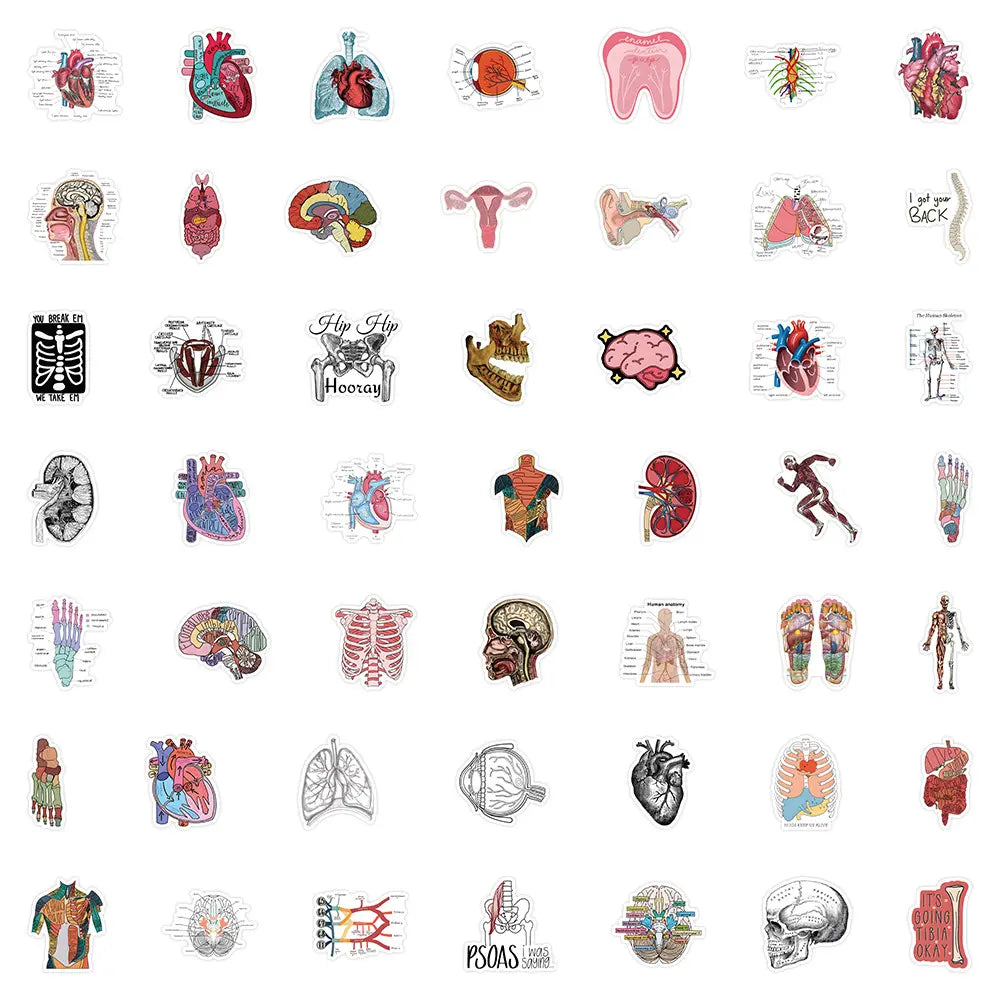 50 Anatomy Stickers